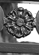 Wall_Art_Alphabet_Photography_Art_ 1579